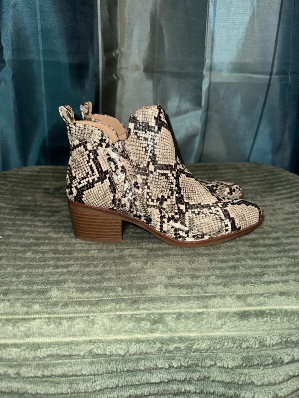 MIA Snake-Print Ankle Booties in Cream and Black